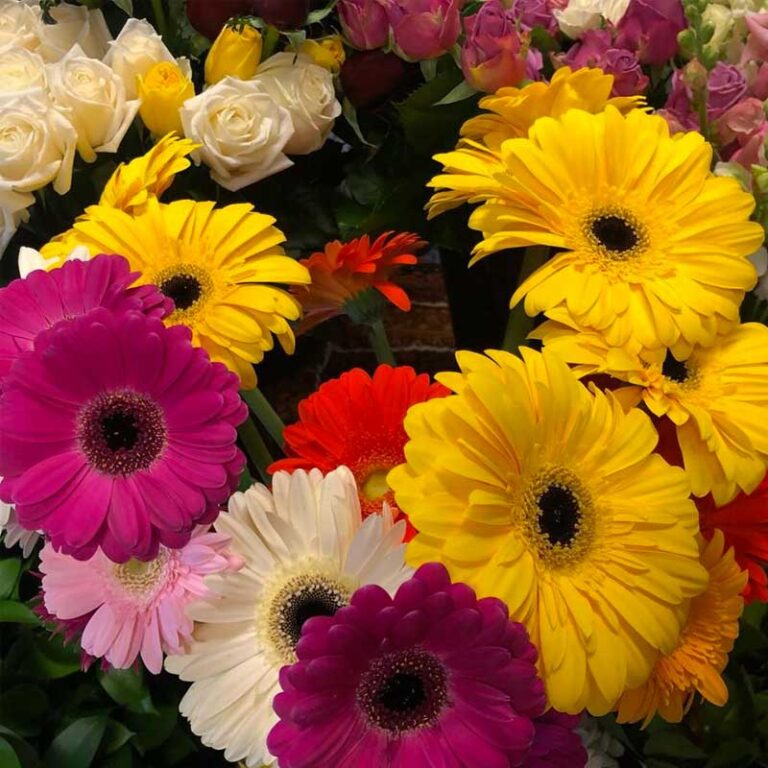 Flower Bazaar 768x768