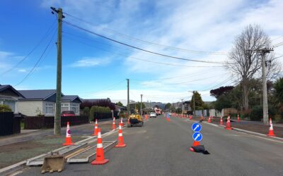 Chrystal Street Repair Update Planting