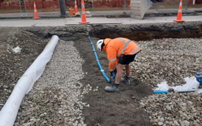 Petrie Street Repair Update Week 12