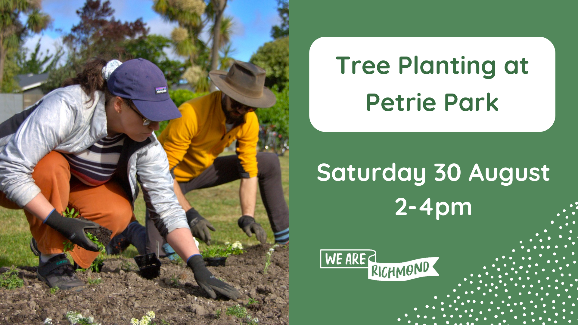PETRIE PAERK Tree planting at Petrie Park
