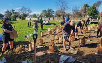 Petrie Park Planting Day 2025