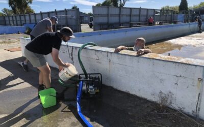 Te Oraka Community Pools Co-Hosted Cleanup 1
