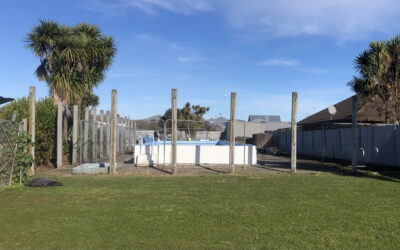 Te Oraka Community Pools Co-Hosted Fence Removal