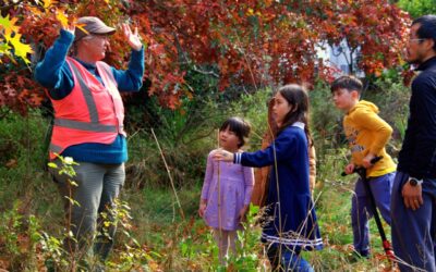 Adventure Avenue Wander 2025