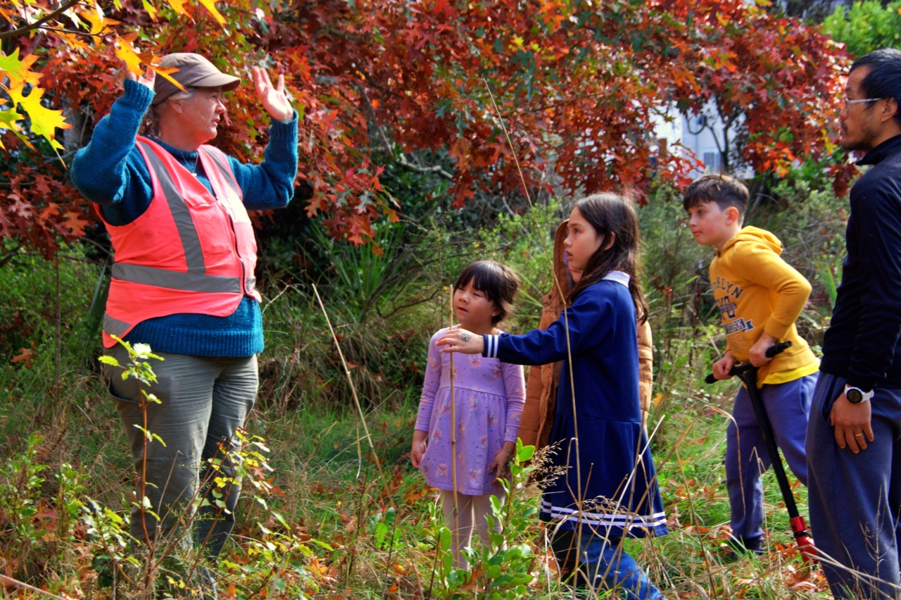 Hayley is a fantastic guide