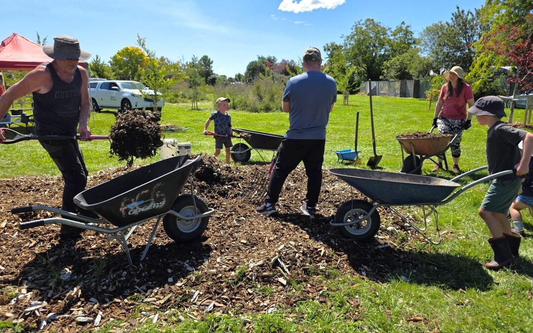 Petrie Park BBQ and Maintenance Session