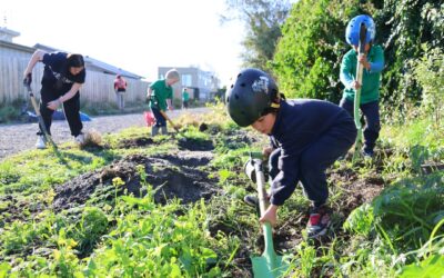 Pickup and Plant at Pareawa Banks Avenue School Entrance August