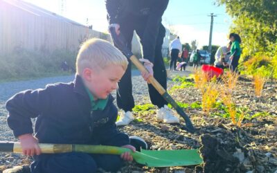 Pickup and Plant at Pareawa Banks Avenue School Entrance June