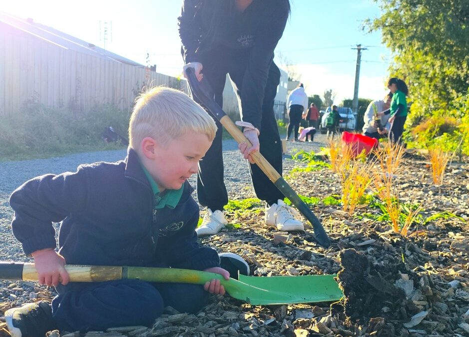 Pickup and Plant at Pareawa Banks Avenue School Entrance June