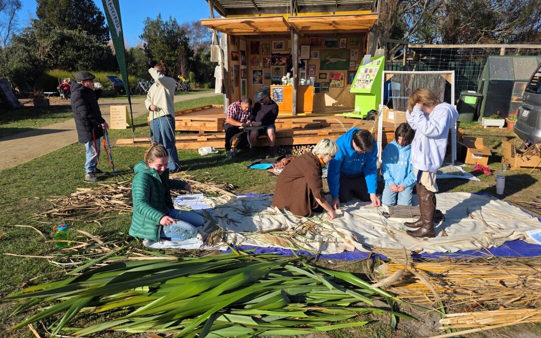 Matariki Community Weaving Session