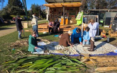 Matariki Community Weaving Session